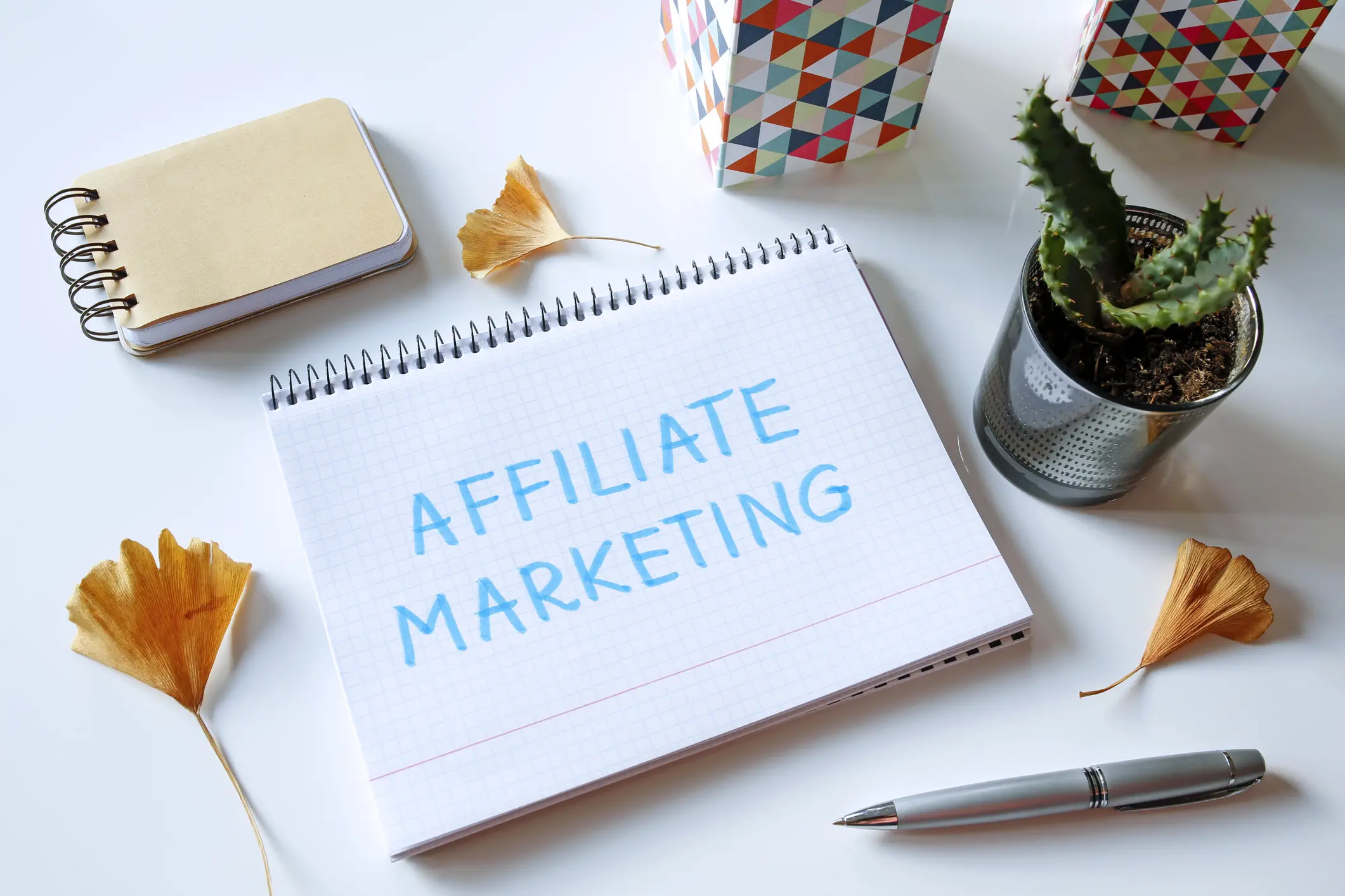 Why Affiliate Marketing Is Best For Students